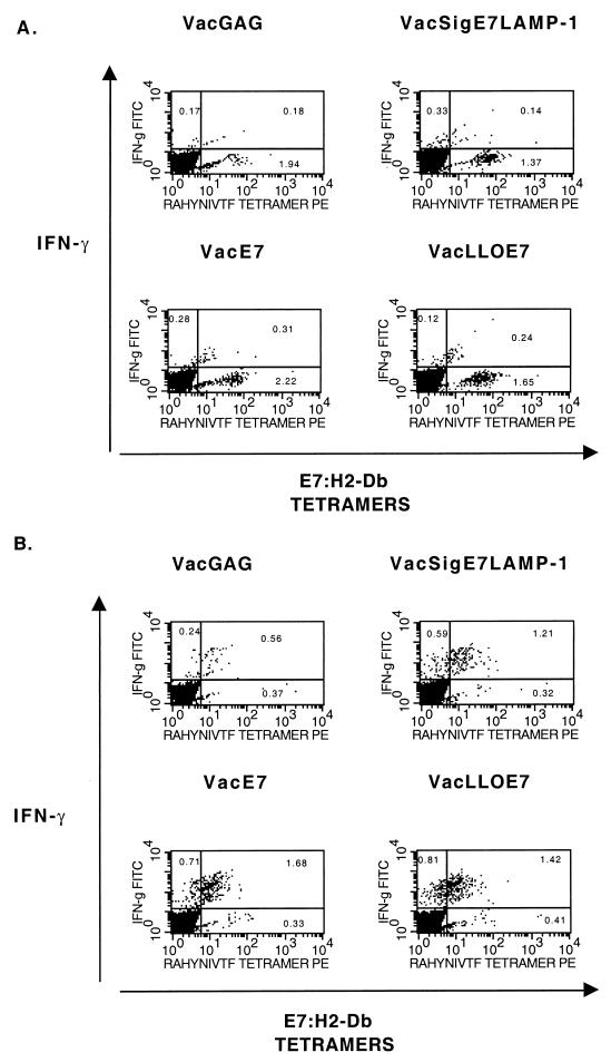 FIG. 8