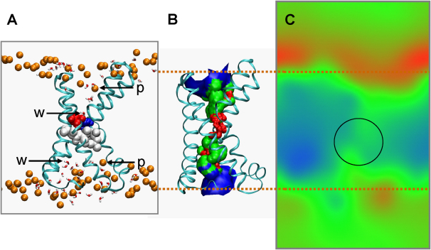 Figure 6