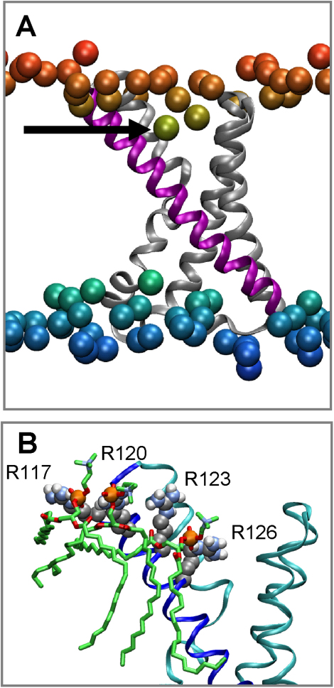 Figure 1