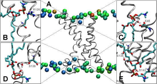 Figure 7