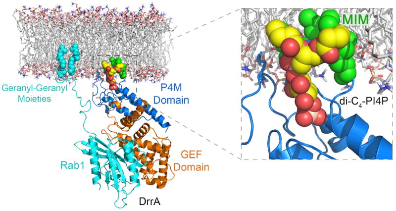 Figure 6