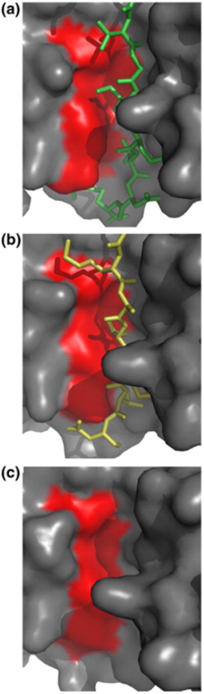 Fig.2