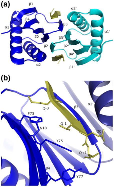 Fig.1