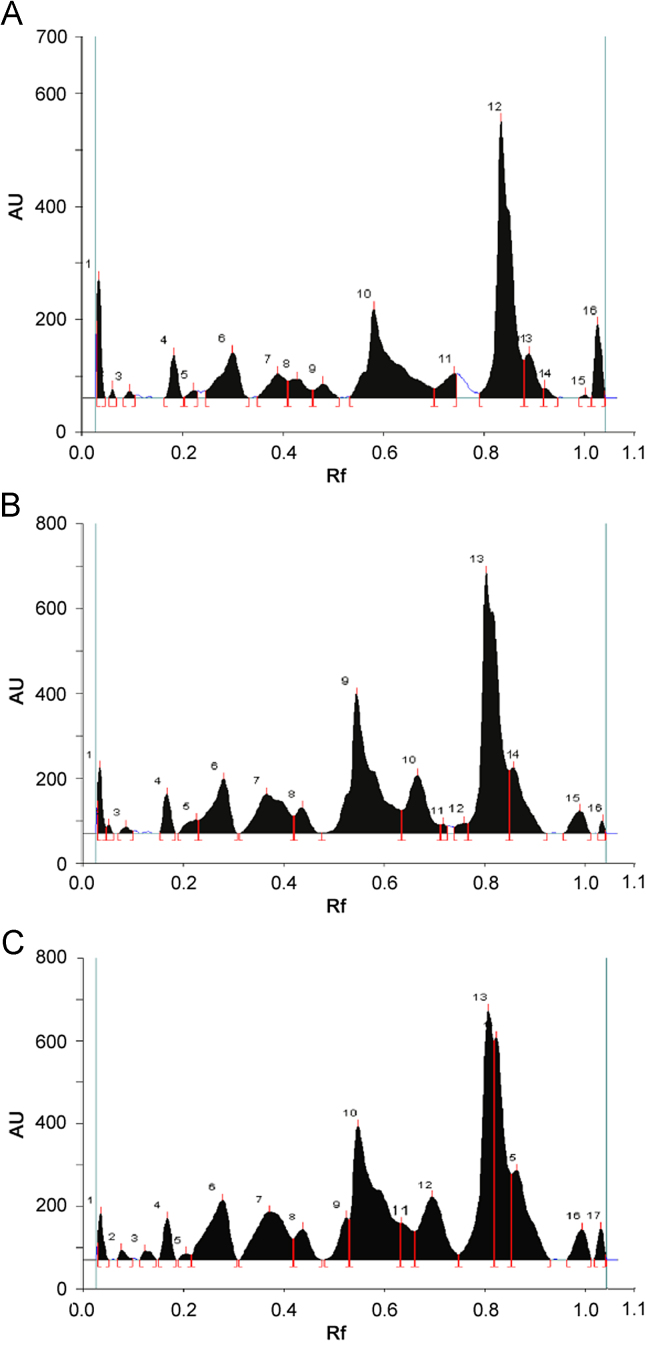 Fig. 6