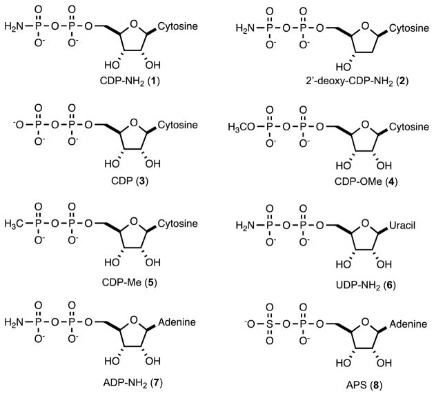 Scheme 4