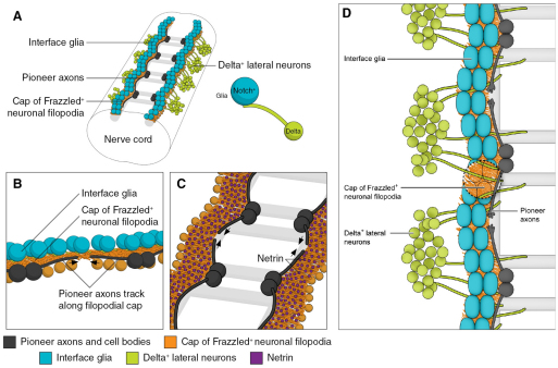 Fig. 7.