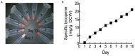 FIGURE 10