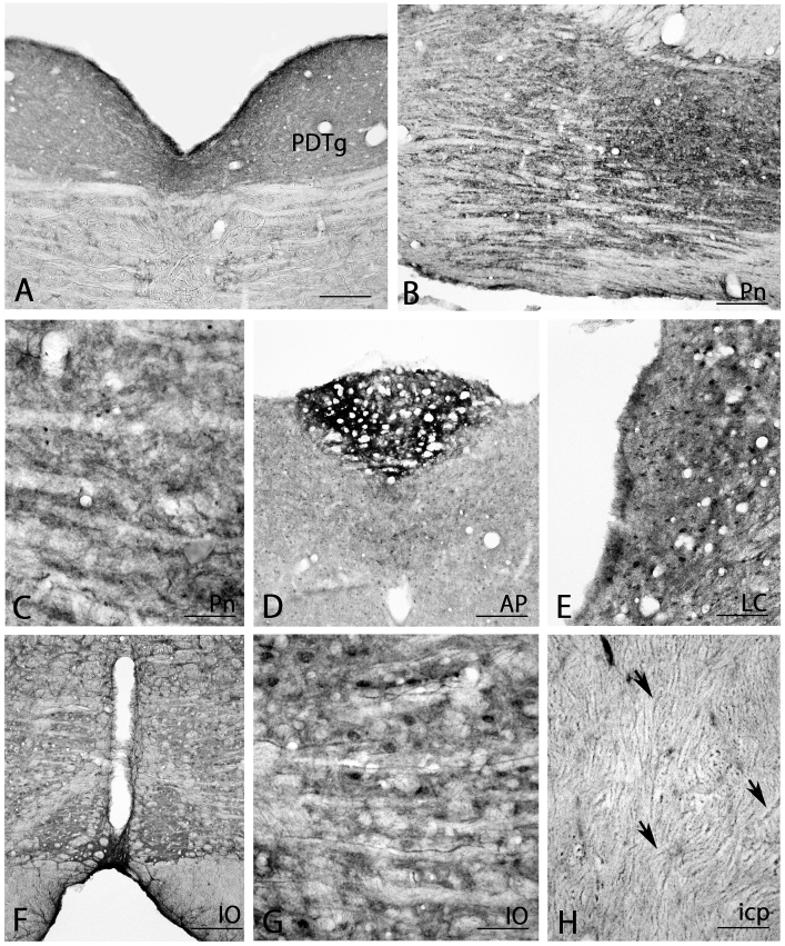 Fig. 9