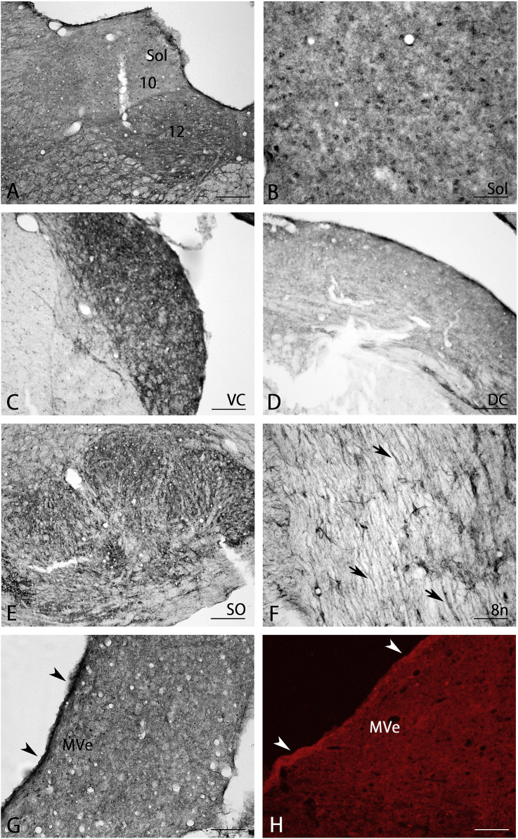 Fig. 8