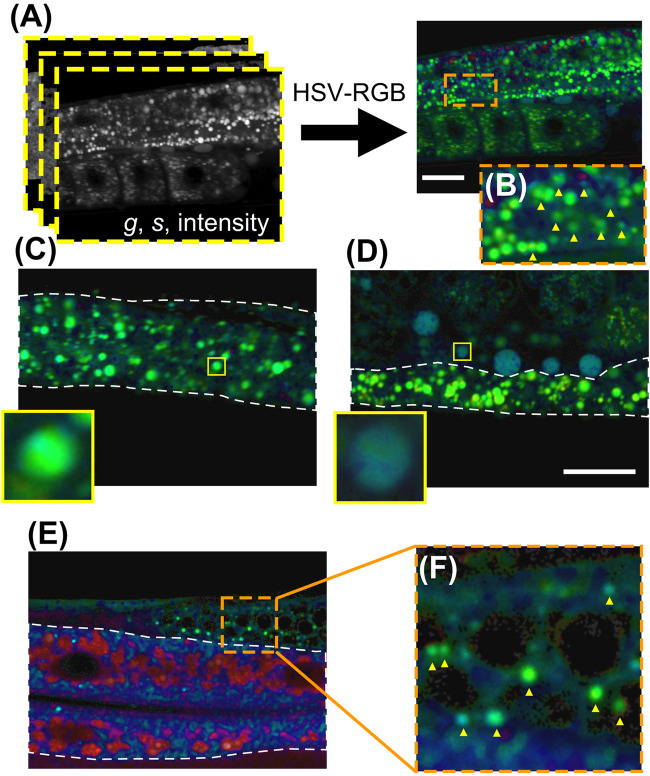 FIGURE 3