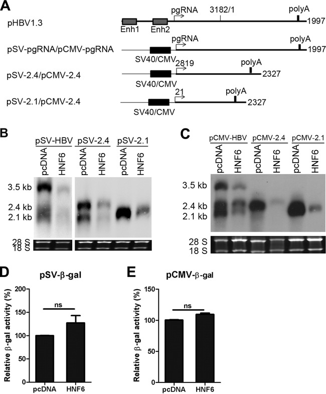 FIG 6