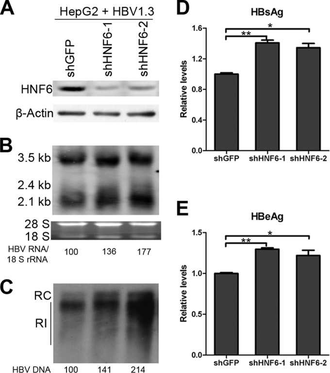 FIG 3