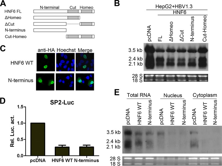 FIG 8