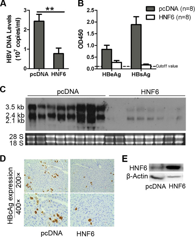 FIG 9