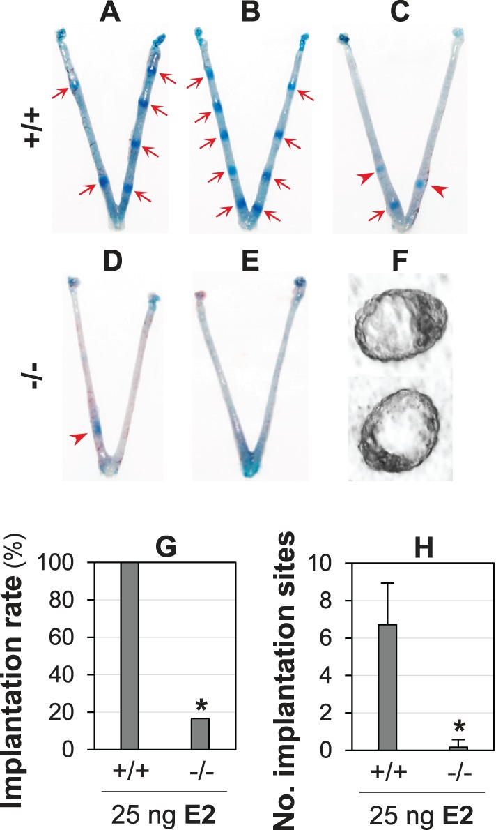 FIG. 6