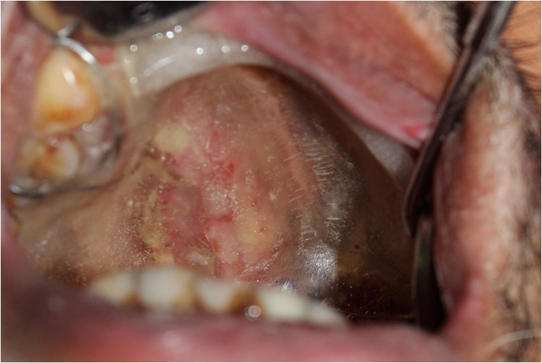 Fig. 9