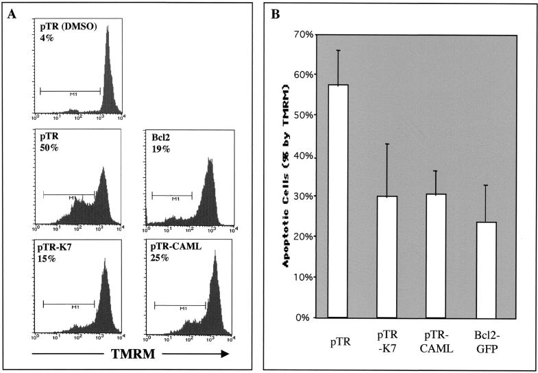 FIG. 5.