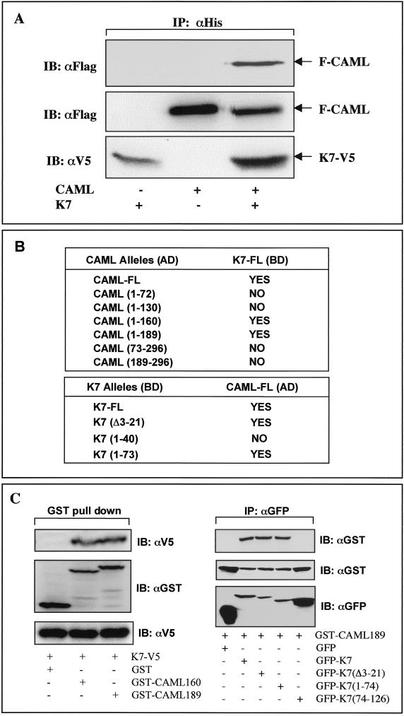 FIG. 4.