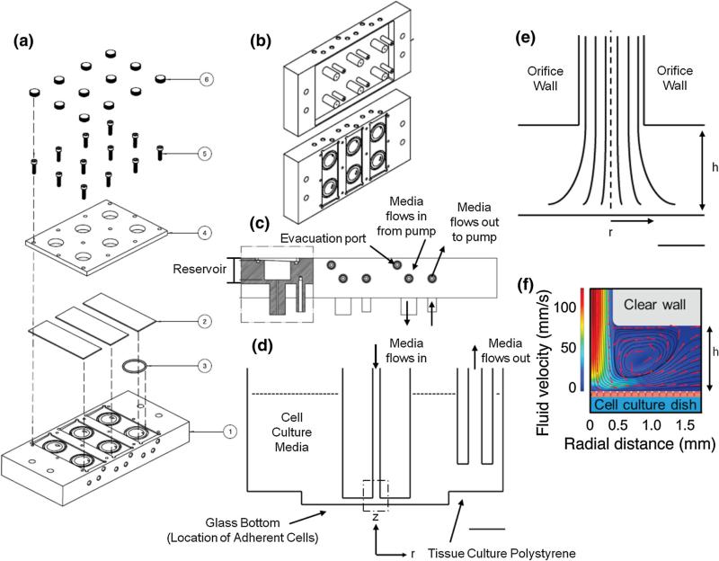 FIGURE 1