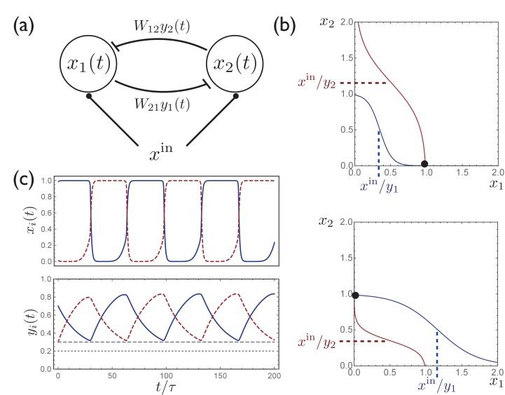 Appendix 1—figure 1.