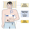 Figure 2: