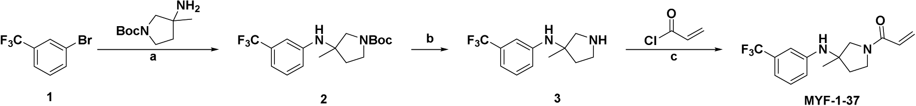 Scheme 1: