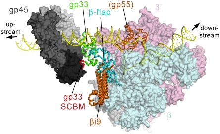 Fig. 4.