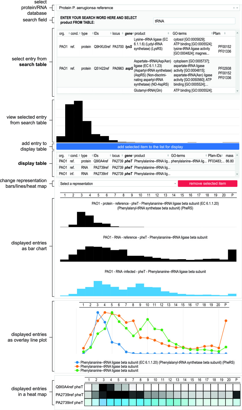 FIG 12