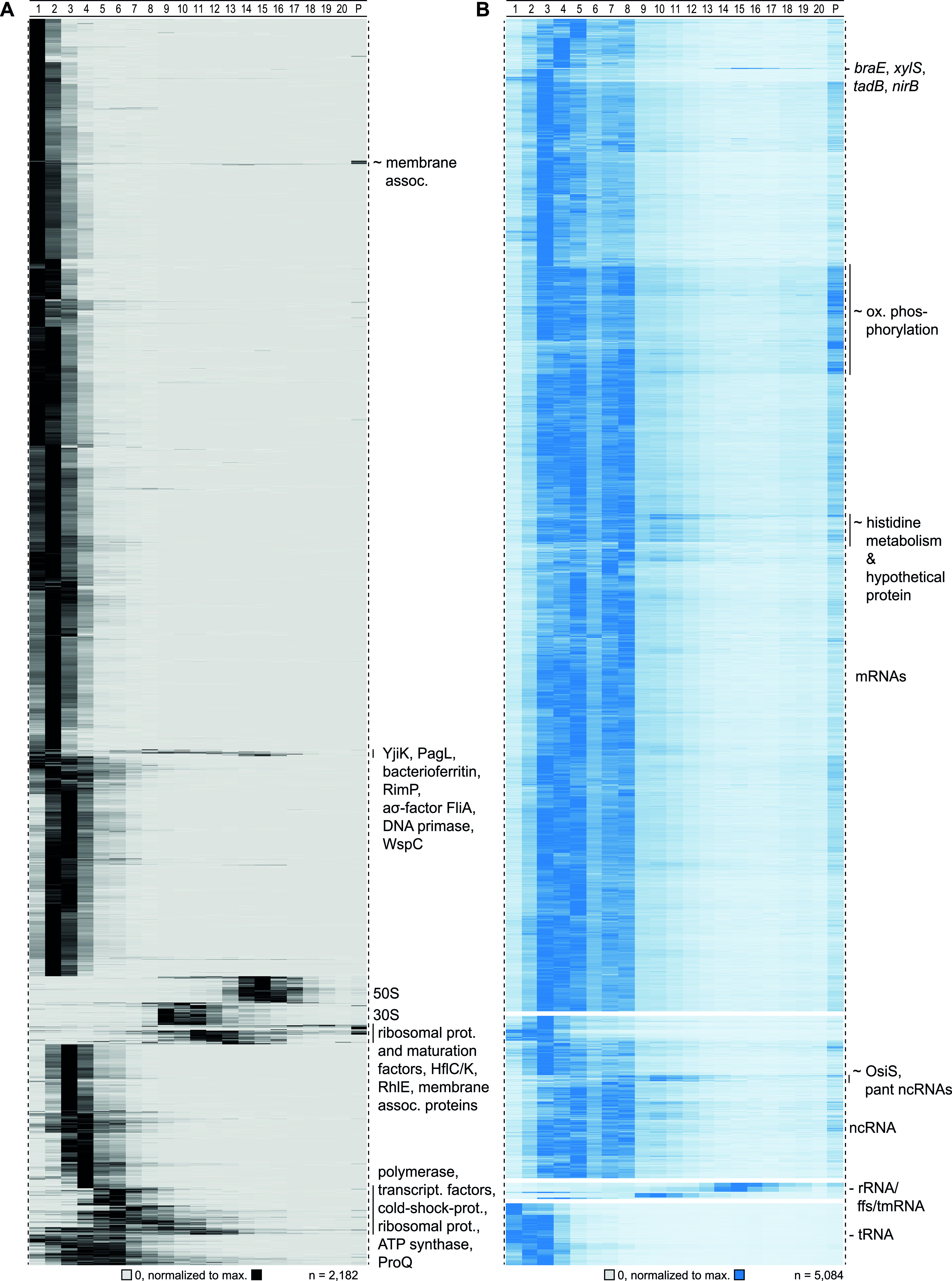 FIG 3