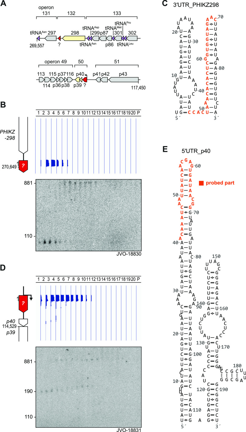 FIG 11