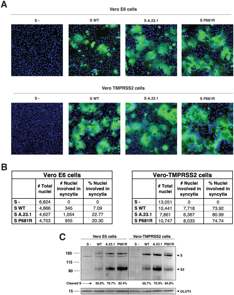 Figure 4: