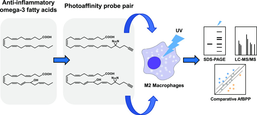 graphic file with name ja2c06827_0008.jpg