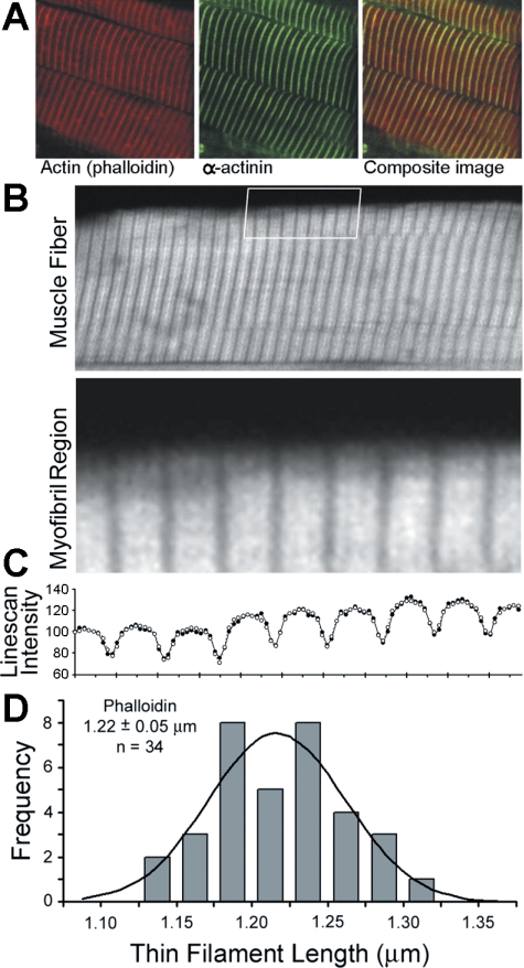 Fig. 9.