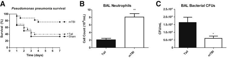 Figure 7