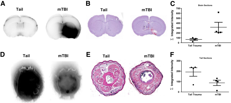 Figure 6