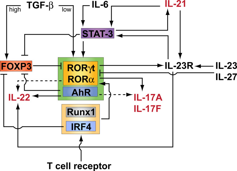 Fig. 1