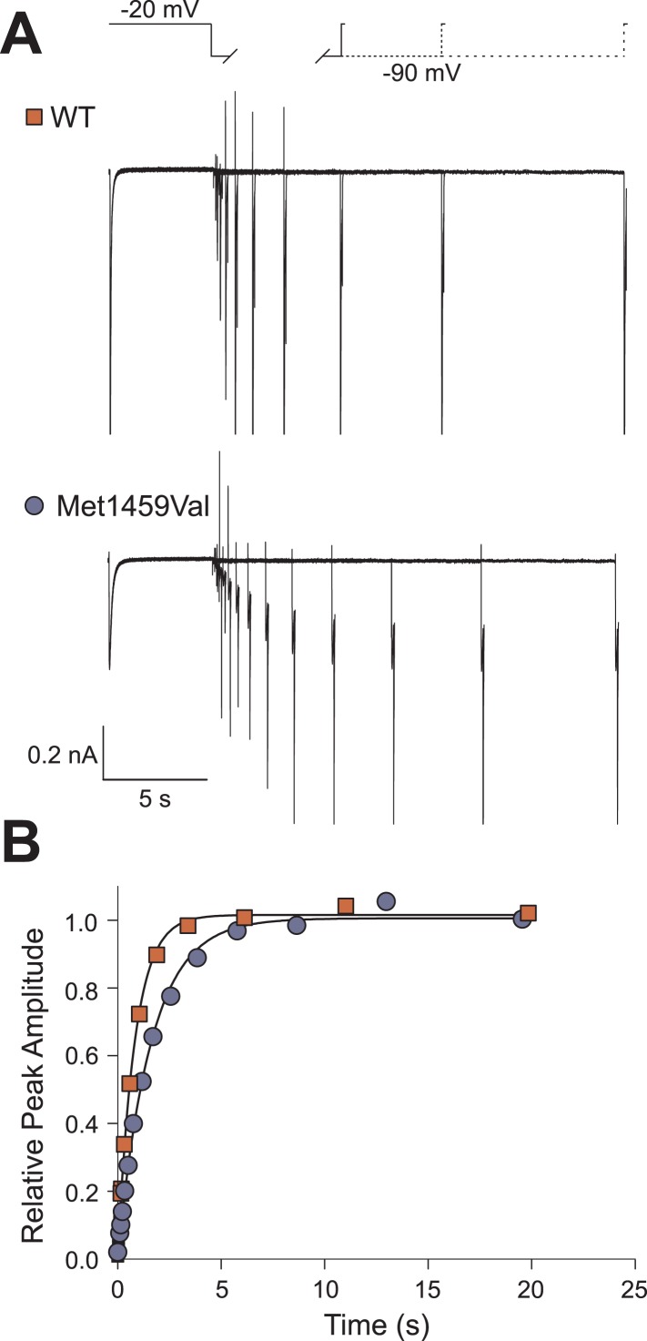 Figure 5—figure supplement 1.