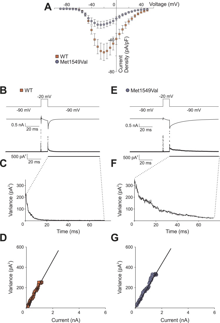 Figure 6—figure supplement 1.