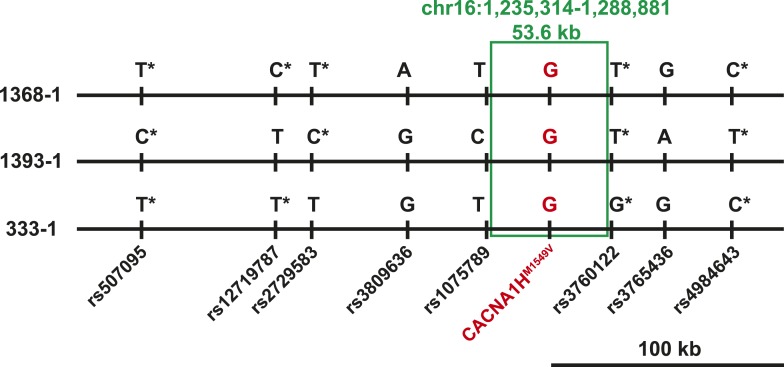 Figure 2.