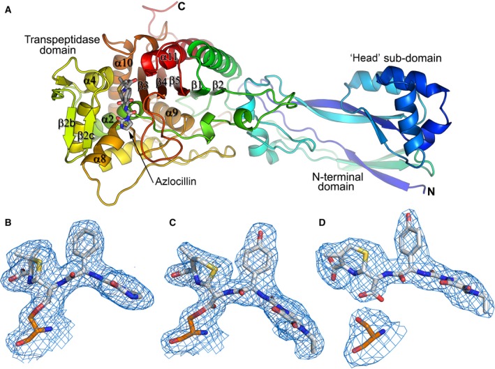 Figure 2