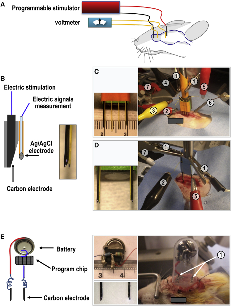 Figure 3