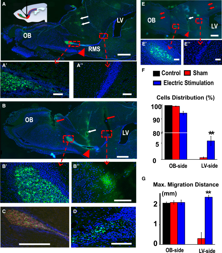 Figure 4