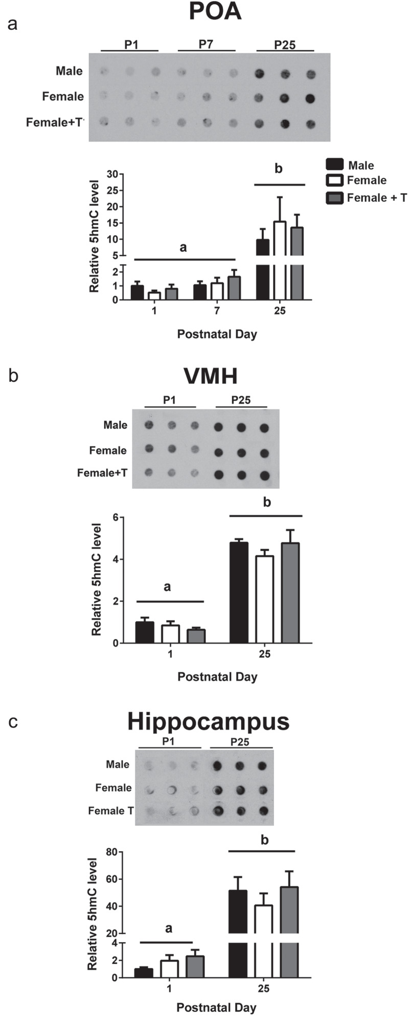 Figure 7.