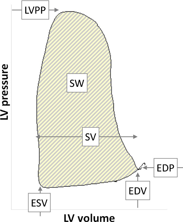 Fig. 2