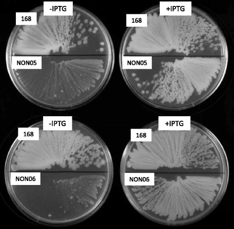 Fig. 4