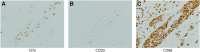 <b>Figure 3.</b>