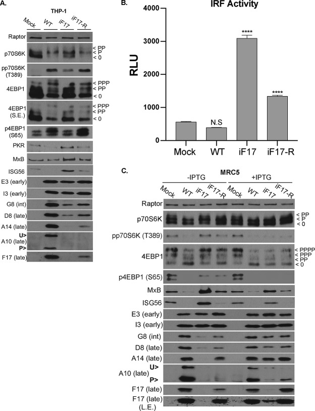 FIG 8