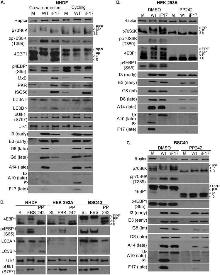 FIG 5