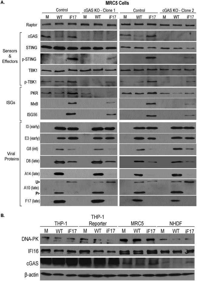 FIG 2