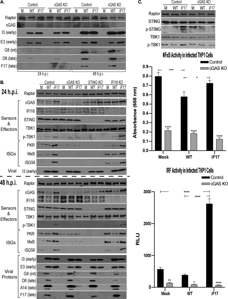 FIG 1